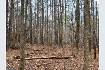 Lot B Salem Road, Watkinsville, GA 30677 - Photo 21