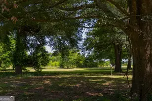 3947 Americus Hwy, Dawson, GA 39842 - Photo 3