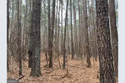 Lot D Salem Road, Watkinsville, GA 30677 - Photo 23