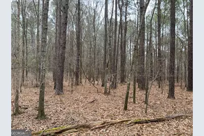 Lot D Salem Road, Watkinsville, GA 30677 - Photo 15