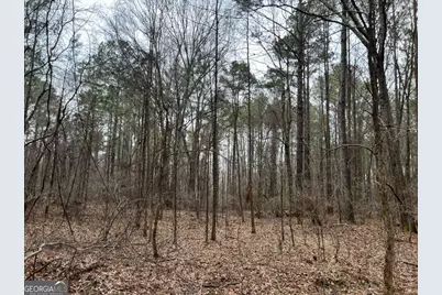 Lot D Salem Road, Watkinsville, GA 30677 - Photo 17