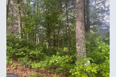 Lot 14 Whisper Woods Estates, Hiawassee, GA 30546 - Photo 7