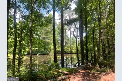 491 Thurman Road #TRACT C, Stockbridge, GA 30281 - Photo 5