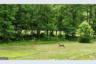 Tract 1 Timber Ridge Road, Blairsville, GA 30512 - Photo 5