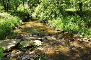 Tract 1 Timber Ridge Rd, Blairsville, GA 30512 - Photo 1