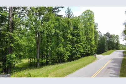 Tract 2 Timber Ridge Road, Blairsville, GA 30512 - Photo 3