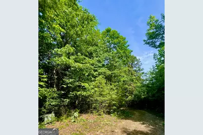 0 Bluff Mtn, Dillard, GA 30537 - Photo 1