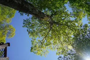 1289 Rainwater Trail, Tiger, GA 30576 - Photo 77