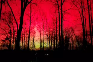 1289 Rainwater Trail, Tiger, GA 30576 - Photo 11