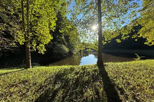 749 Sunflower Dr, Hartwell, GA 30643 - Photo 19