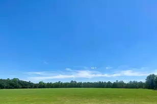 5879 Beatty Mill Creek Rd, Ray City, GA 31645 - Photo 3