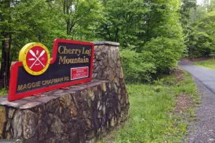 31 Eagle Feather Drive, Cherrylog, GA 30522 - Photo 31