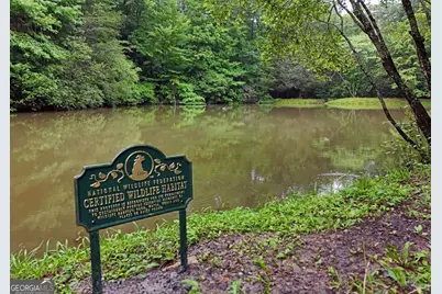 31 Eagle Feather Drive, Cherrylog, GA 30522 - Photo 33