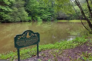 31 Eagle Feather Drive, Cherrylog, GA 30522 - Photo 33