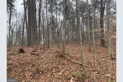 49 Lake Top Drive SE, Cartersville, GA 30121 - Photo 3