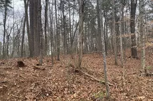 49 Lake Top Dr SE, Cartersville, GA 30121 - Photo 3