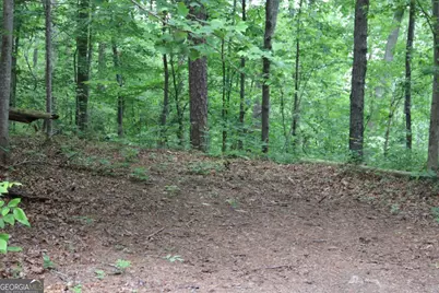 49 Lake Top Drive SE, Cartersville, GA 30121 - Photo 5