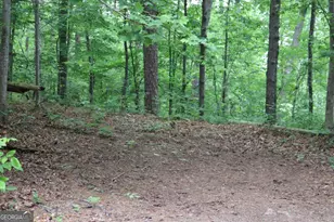 49 Lake Top Dr SE, Cartersville, GA 30121 - Photo 5