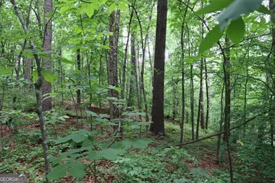 49 Lake Top Drive SE, Cartersville, GA 30121 - Photo 11