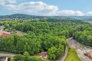 399 N Chestatee St, Dahlonega, GA 30533 - Photo 71