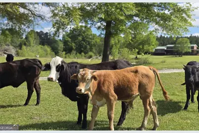 947 Bellhouse Road, Macon, GA 31217 - Photo 61