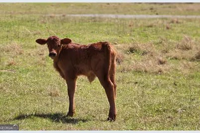 947 Bellhouse Road, Macon, GA 31217 - Photo 91