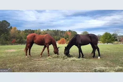 947 Bellhouse Road, Macon, GA 31217 - Photo 85