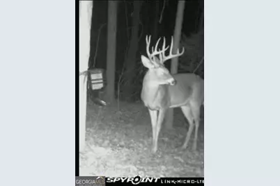 467 Kirkland Drive, Byron, GA 31008 - Photo 45