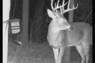 467 Kirkland Dr, Byron, GA 31008 - Photo 45