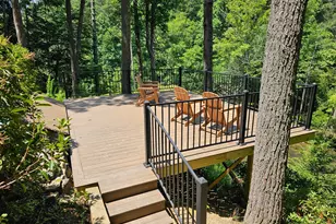 1061 Fir Ln, Ellijay, GA 30540 - Photo 43