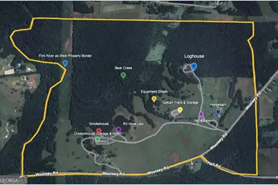 14501 Woolsey Road, Hampton, GA 30228 - Photo 3