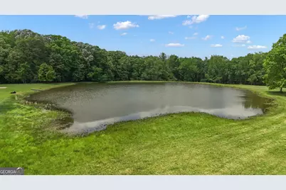 14501 Woolsey Road, Hampton, GA 30228 - Photo 115