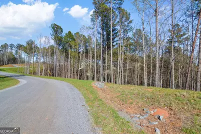 Lot 103 Blalock Mountain Road, Talking Rock, GA 30175 - Photo 17