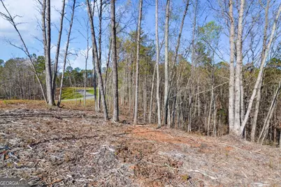 Lot 103 Blalock Mountain Road, Talking Rock, GA 30175 - Photo 13