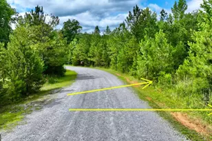 0 Millstone Creek Rd, Elberton, GA 30635 - Photo 11