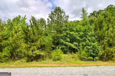 0 Millstone Creek Road, Elberton, GA 30635 - Photo 15