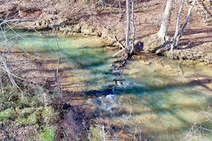 5827 Brasstown Creek Estate, Young Harris, GA 30582 - Photo 47