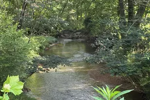 5827 Brasstown Creek Estate, Young Harris, GA 30582 - Photo 49