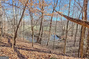 5827 Brasstown Creek Estate, Young Harris, GA 30582 - Photo 7