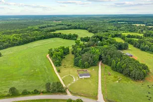 1259 Flat Rock Church Rd, Greensboro, GA 30642 - Photo 37