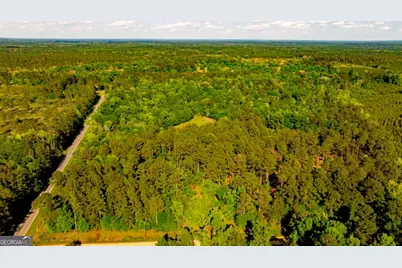 426 Wadley Coleman Lake Road, Midville, GA 30441 - Photo 3