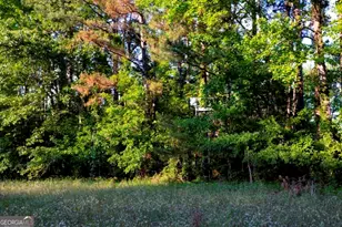 426 Wadley Coleman Lake Rd, Midville, GA 30441 - Photo 73