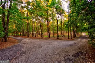 426 Wadley Coleman Lake Rd, Midville, GA 30441 - Photo 63