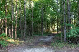 426 Wadley Coleman Lake Rd, Midville, GA 30441 - Photo 75