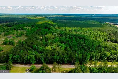 426 Wadley Coleman Lake Road, Midville, GA 30441 - Photo 59