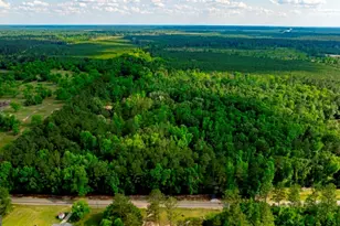 426 Wadley Coleman Lake Rd, Midville, GA 30441 - Photo 59