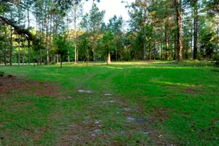 426 Wadley Coleman Lake Rd, Midville, GA 30441 - Photo 79