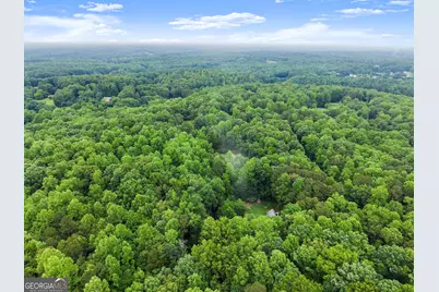 802 Old Mill Trail, Ball Ground, GA 30107 - Photo 83