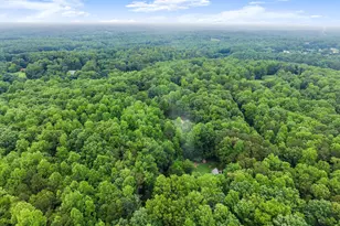 802 Old Mill Trail, Ball Ground, GA 30107 - Photo 83