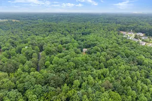 802 Old Mill Trail, Ball Ground, GA 30107 - Photo 79